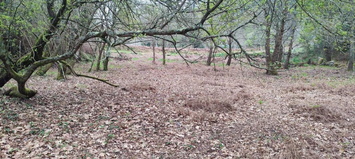 Terreno en venta en Cangas, Pontevedra photo 2