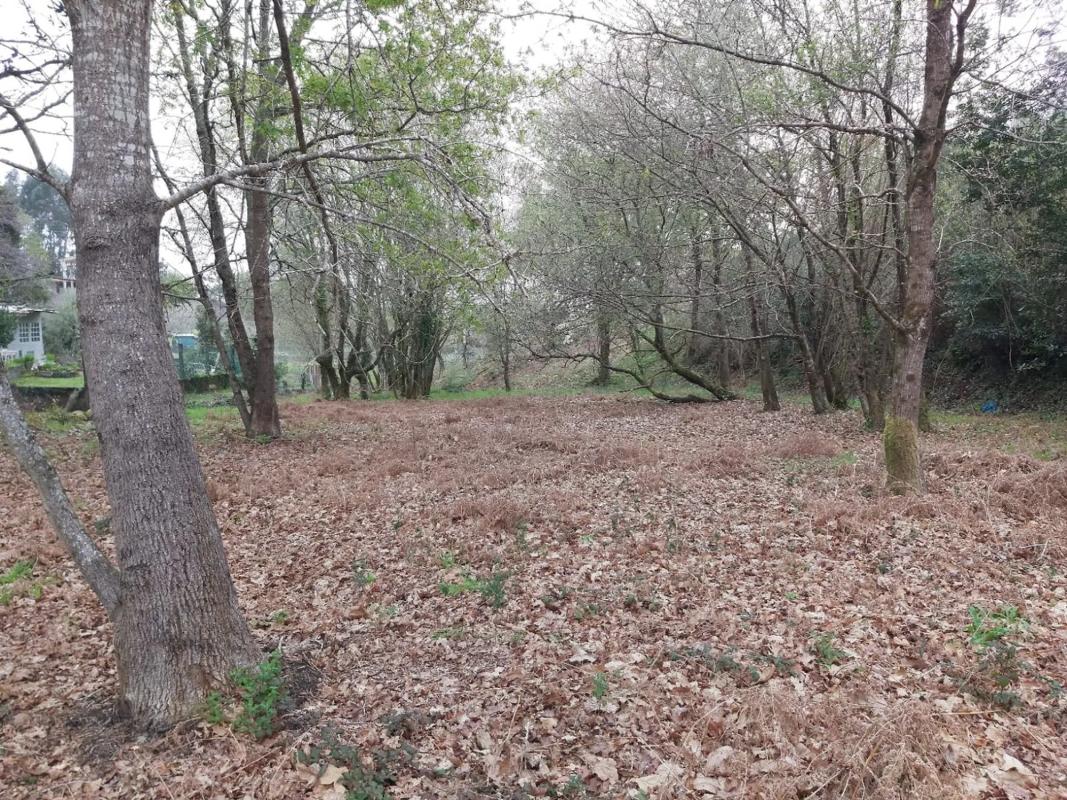 Terreno en venta en Cangas, Pontevedra photo 3