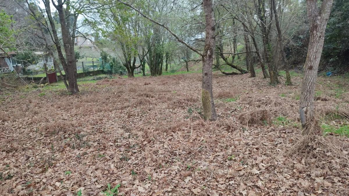 Terreno en venta en Cangas, Pontevedra photo 4