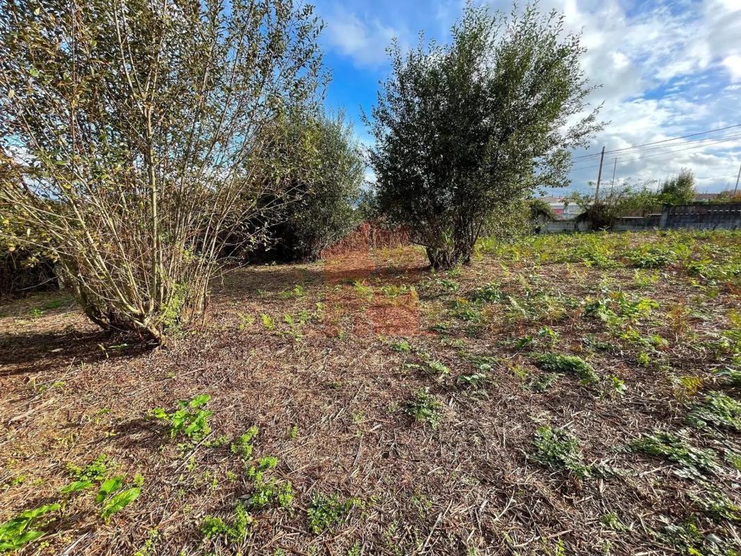Land for sale in Cangas, Pontevedra photo 3