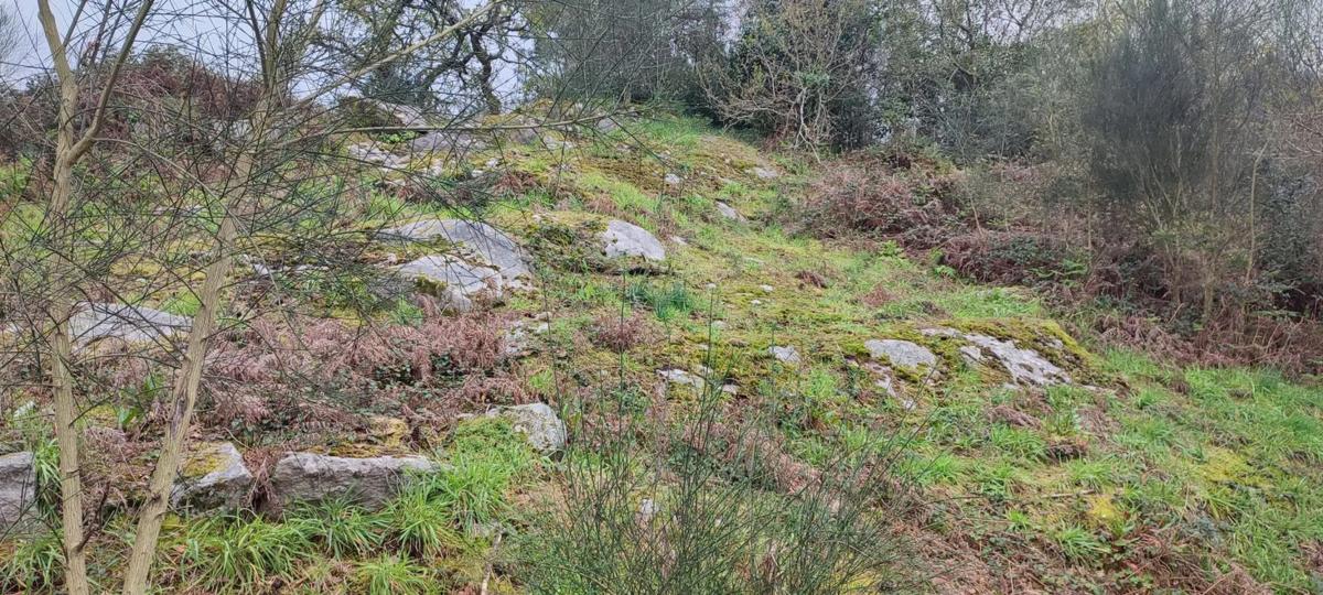 Terreno en venta en Cangas, Pontevedra photo 5