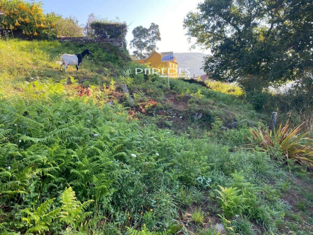 Land for sale in Moaña, Pontevedra photo 1