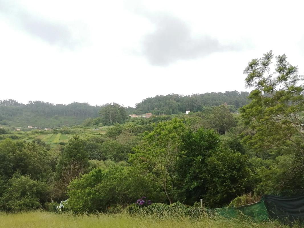 Terreno en venta en Marin, Pontevedra photo 3