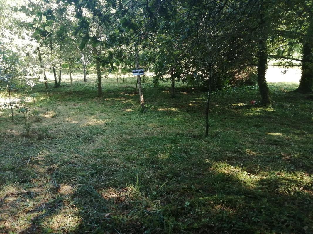 Terreno en venta en Marin, Pontevedra photo 5