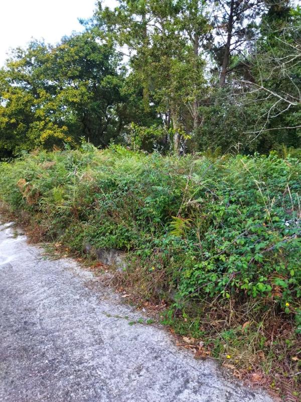 Terreno en venta en Cangas, Pontevedra photo 2