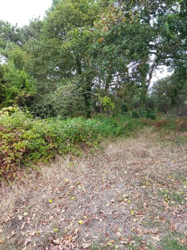Terreno en venta en Cangas, Pontevedra photo 5