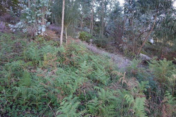 Terreno en Darbo photo 4
