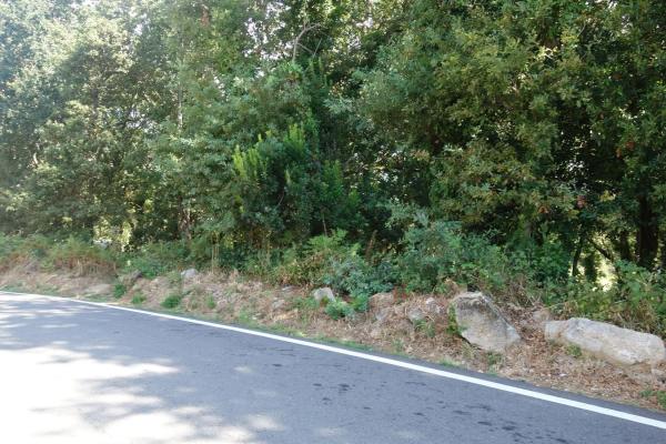 Terreno en Coiro photo 1