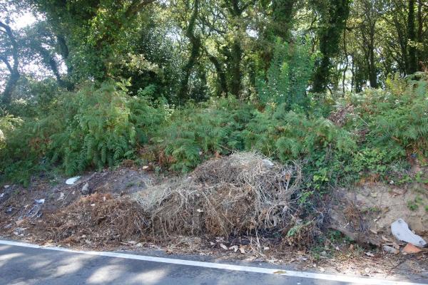 Terreno en Coiro photo 3