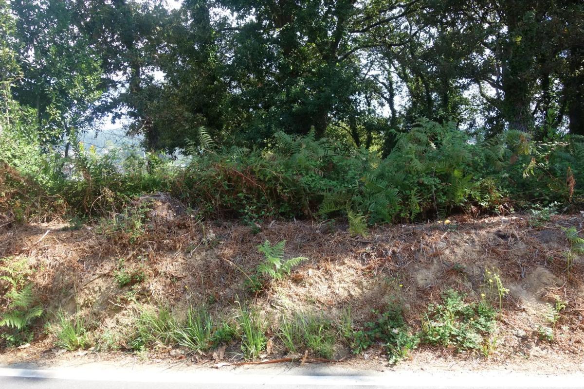 Land for sale in Cangas, Pontevedra photo 4