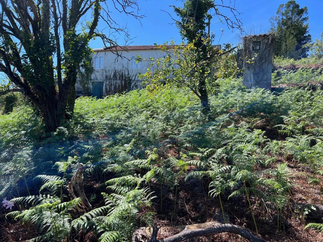 Terreno en venta en Cangas, Pontevedra photo 2