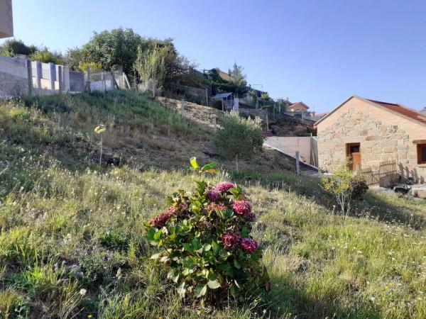 Terreno en Coiro photo 4