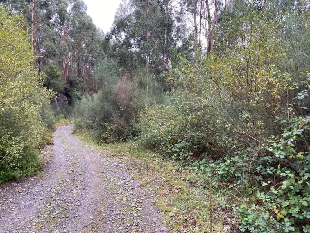 Terreno en venta en Moaña, Pontevedra photo 2