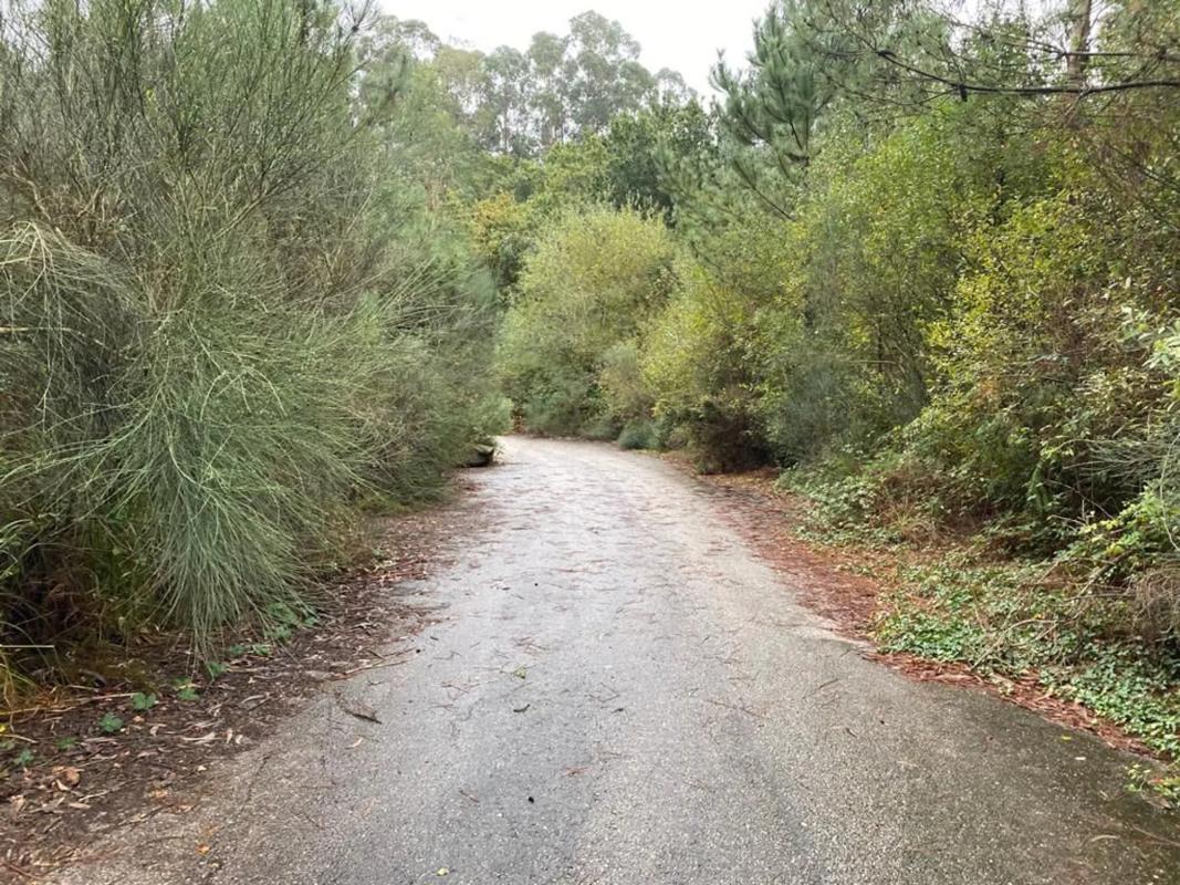 Terreno en venta en Moaña, Pontevedra photo 3