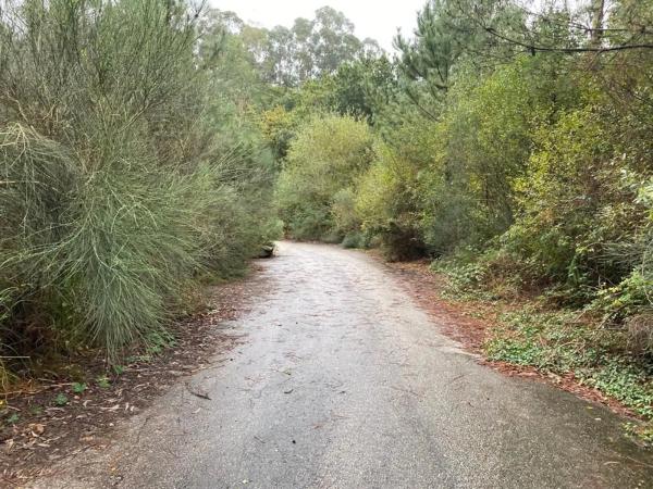 Terreno en Lugar Carballido photo 3