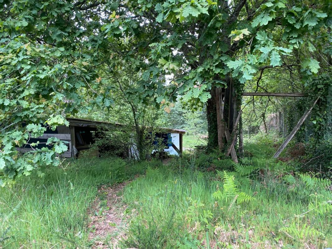 Terreno en venta en Marin, Pontevedra photo 2