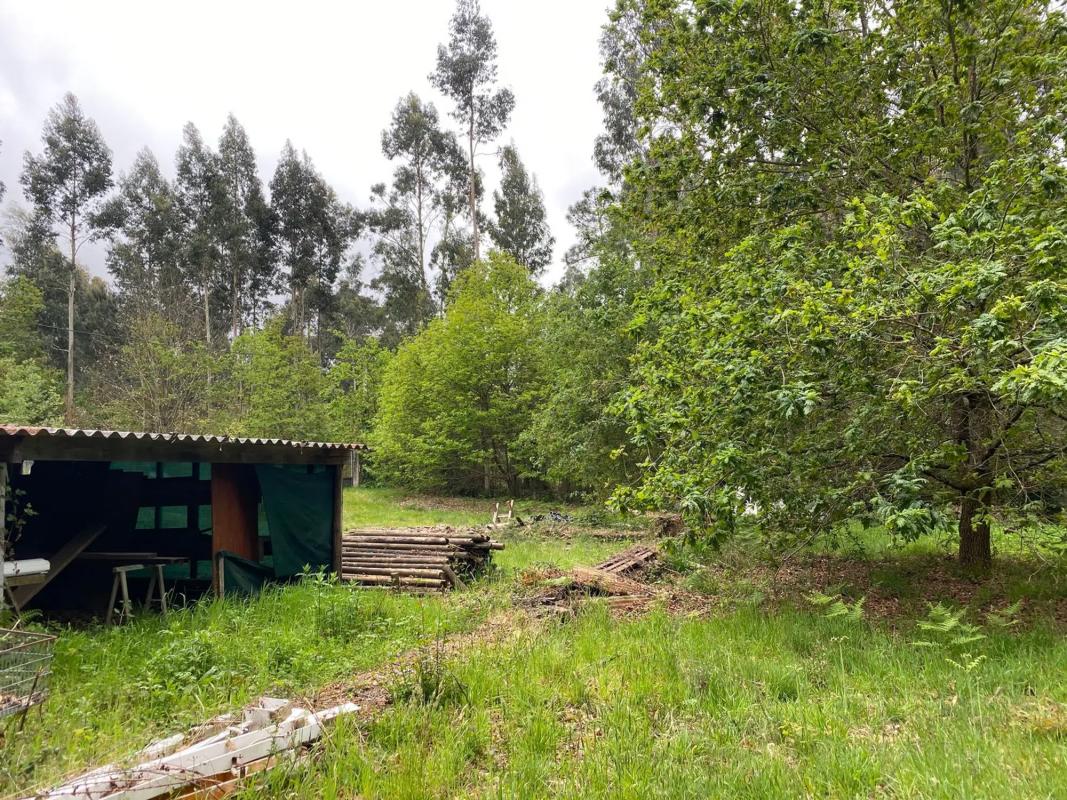 Terreno en venta en Marin, Pontevedra photo 3