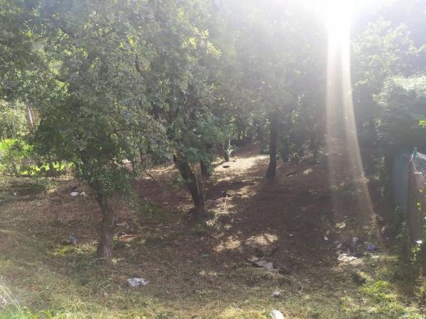 Terreno en Darbo photo 1