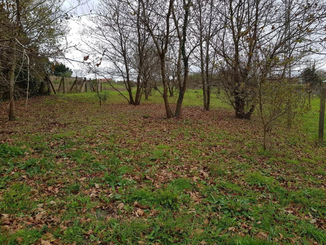 Land for sale in Moaña, Pontevedra photo 1