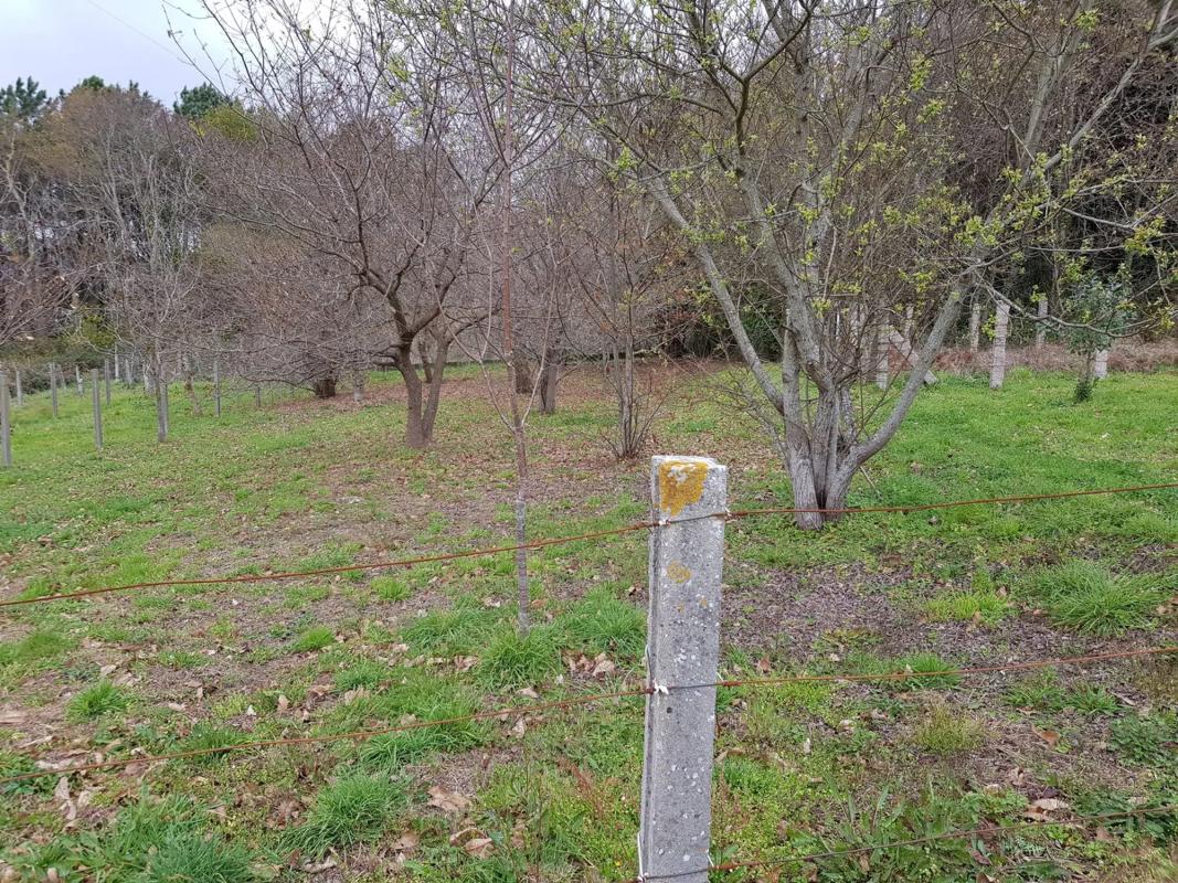 Land for sale in Moaña, Pontevedra photo 3