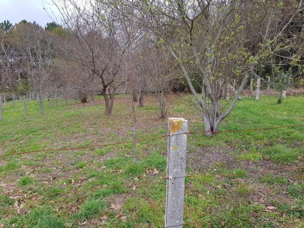 Terreno en Moaña photo 3