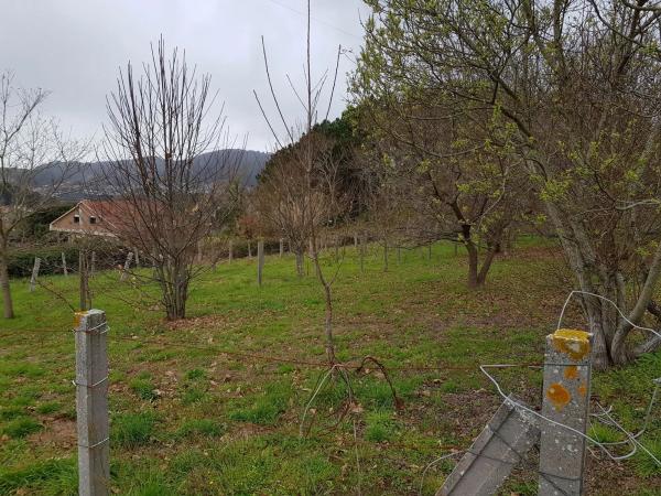 Terreno en Moaña photo 4