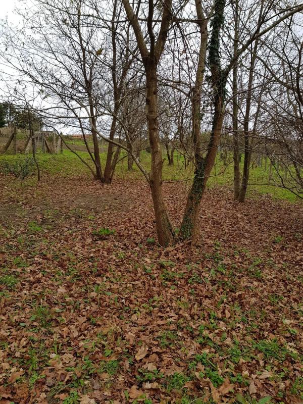 Land for sale in Moaña, Pontevedra photo 5