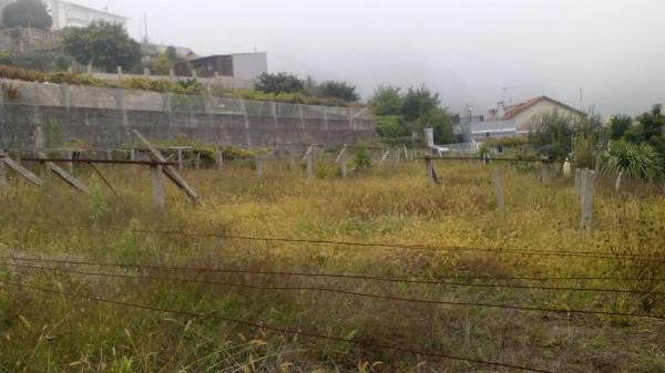Terreno en poblado mogor, 173 photo 1