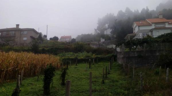 Terreno en poblado mogor, 173 thumbnail 2