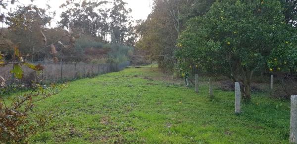 Terreno en O Hío photo 1
