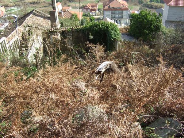 Terreno en Darbo photo 1