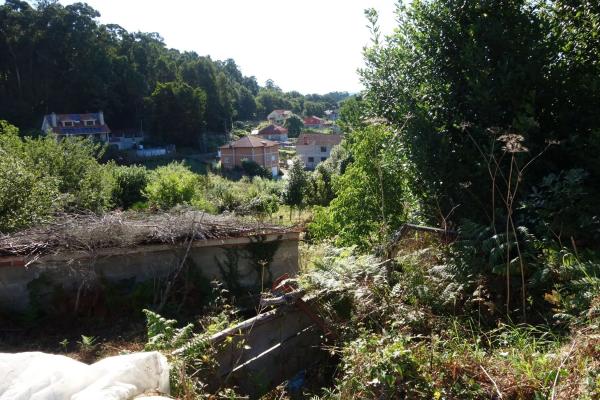 Terreno en Coiro photo 4