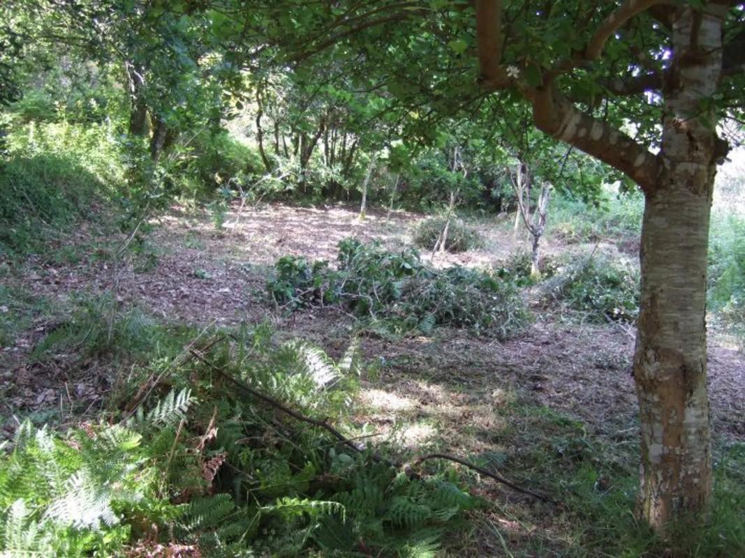 Terreno en venta en Bueu, Pontevedra photo 3