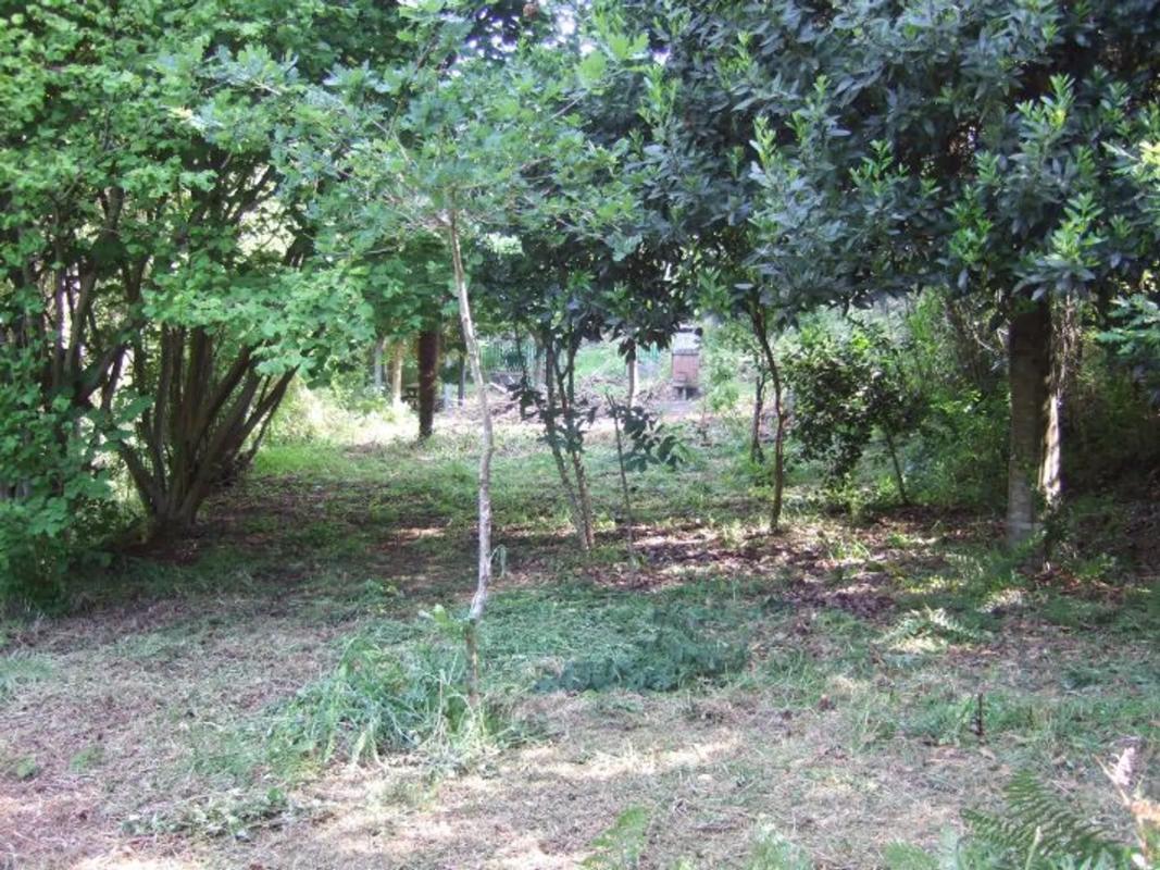 Terreno en venta en Bueu, Pontevedra photo 4