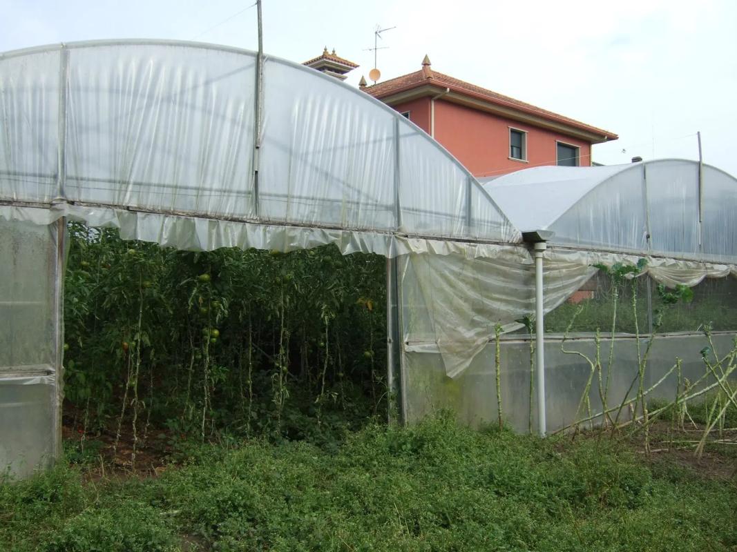 Terreno en venta en Cangas, Pontevedra photo 5