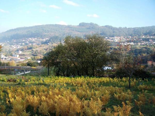 Terreno en Bueu photo 3