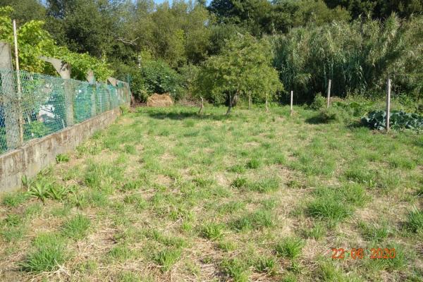 Terreno en Cangas photo 4