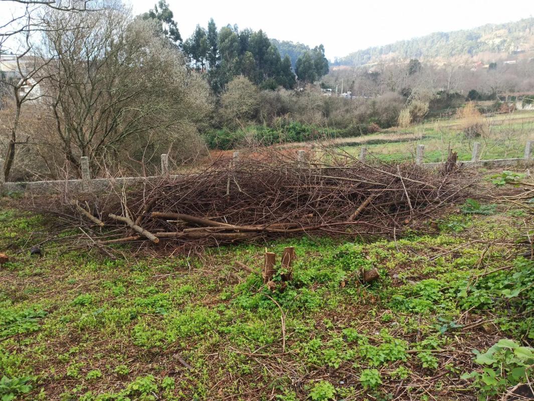 Land for sale in Moaña, Pontevedra photo 2