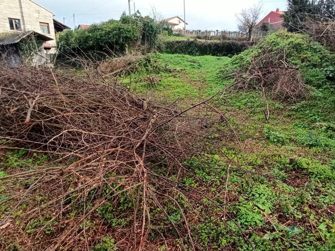 Land for sale in Moaña, Pontevedra photo 4