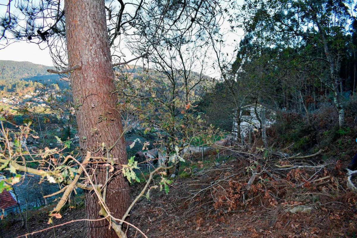 Terreno en venta en Marin, Pontevedra photo 3