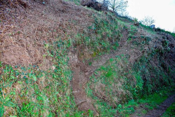 Terreno en Poblado Moreira, 1 photo 4