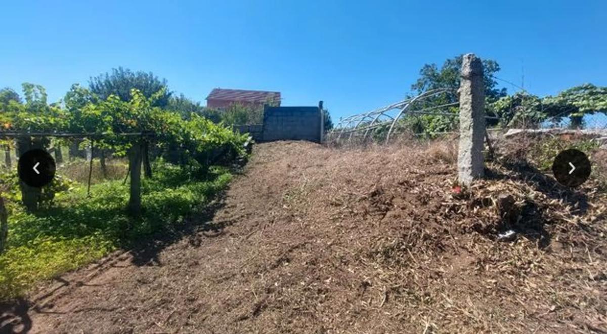Terreno en venta en Portas, Pontevedra photo 5