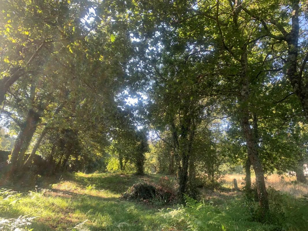 Terreno en venta en Portas, Pontevedra photo 3