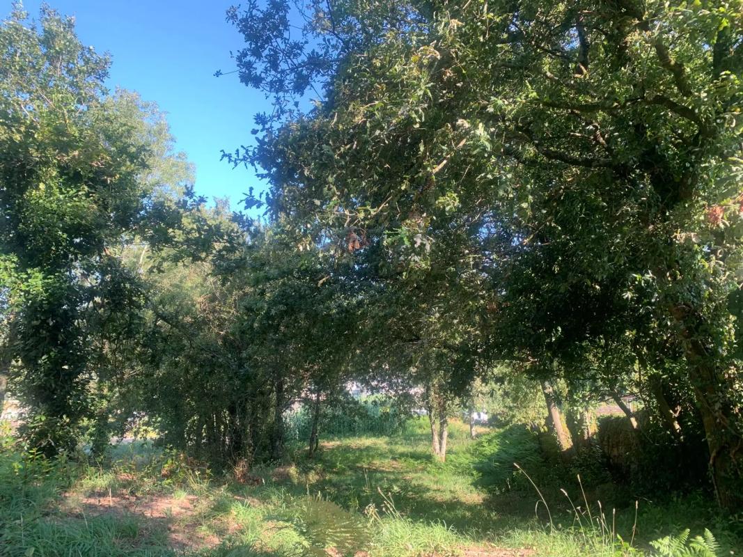 Terreno en venta en Portas, Pontevedra photo 5
