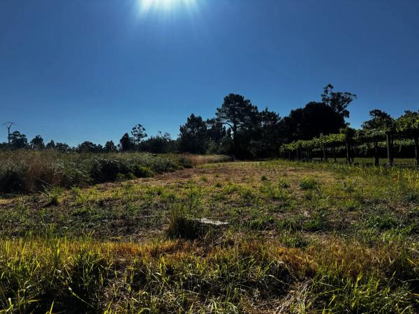 Terreno en río pequeño photo 2