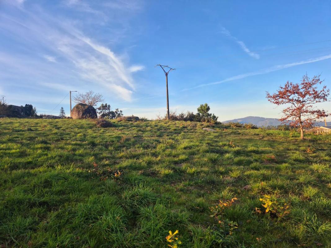 Land for sale in Meis, Pontevedra photo 5