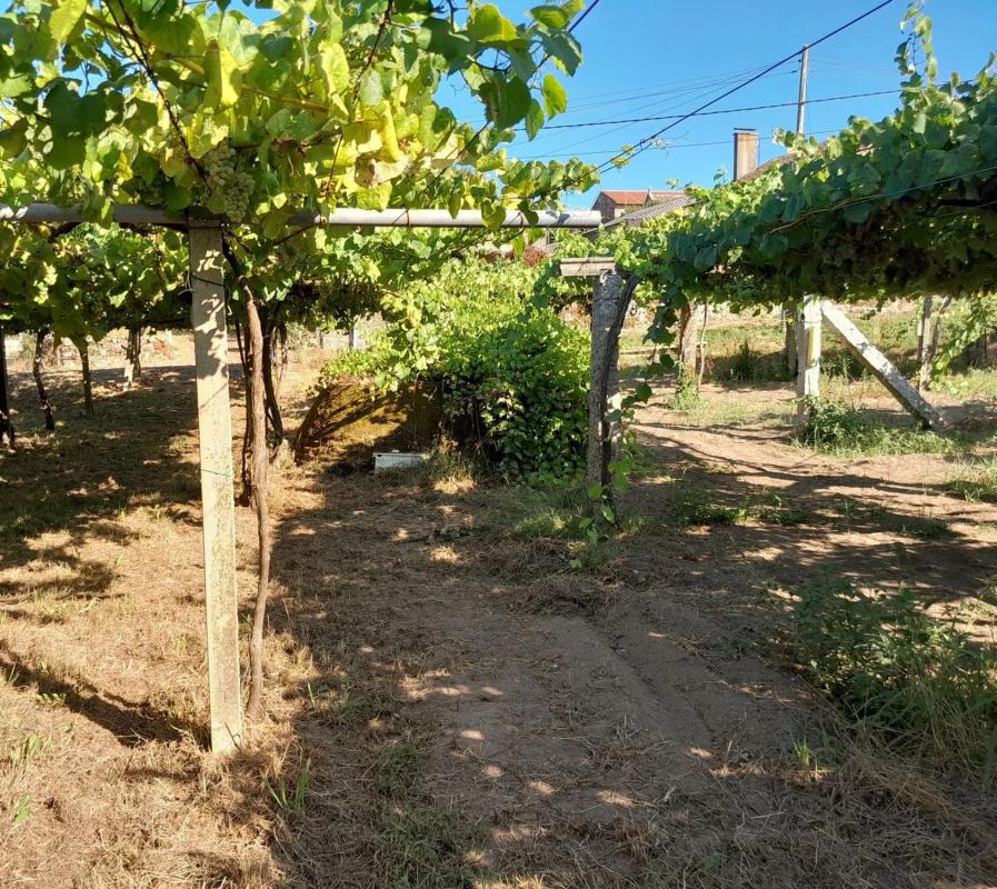 Terreno en venta en Ribadumia, Pontevedra photo 2
