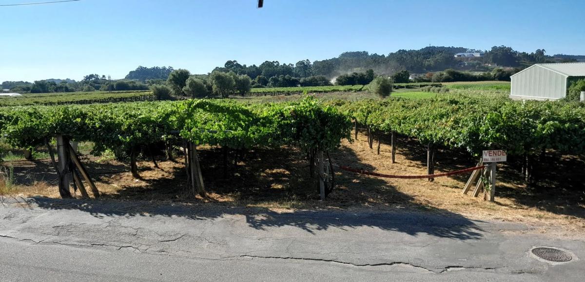 Terreno en venta en Ribadumia, Pontevedra photo 3