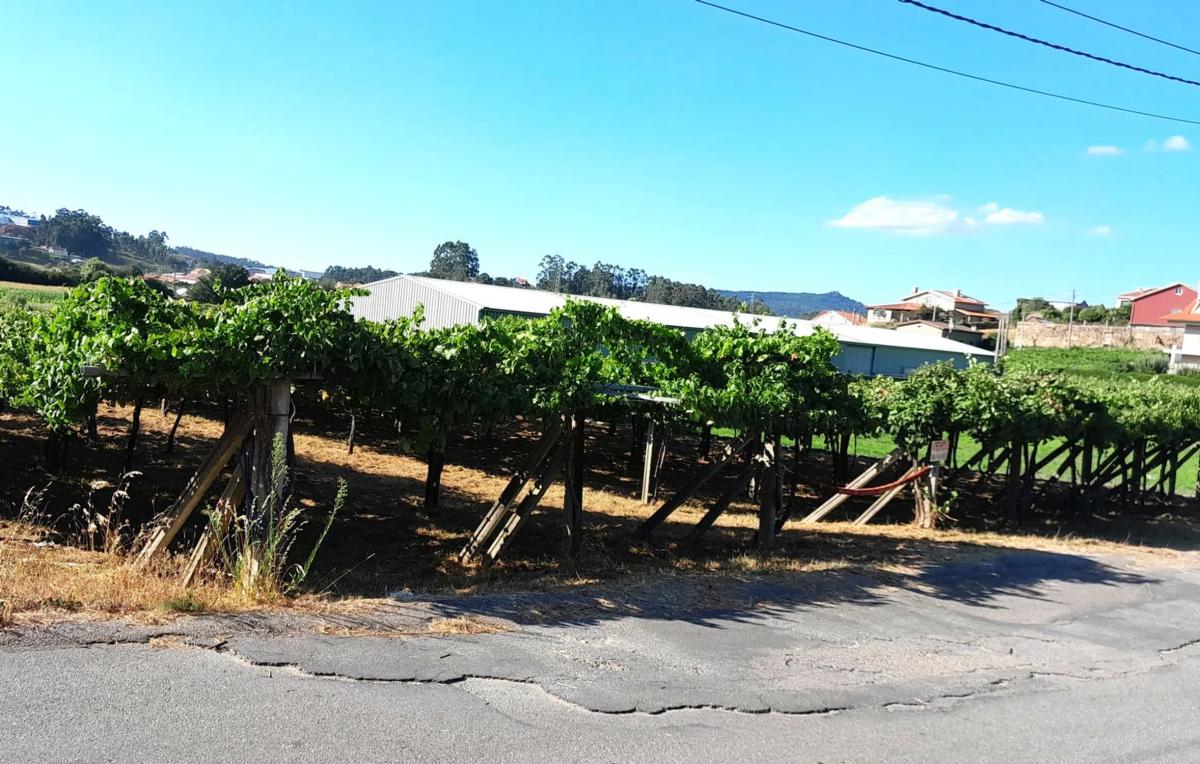 Terreno en venta en Ribadumia, Pontevedra photo 5