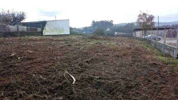 Terreno en calle Torre photo 2